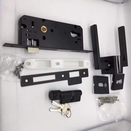 Maniglia per porta in acciaio inox a leva cava SD142